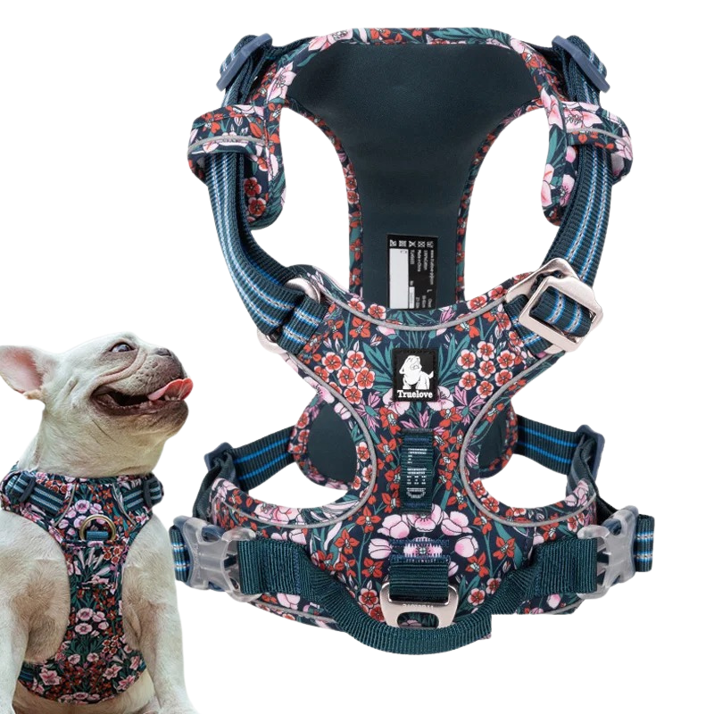 Arnés para perros